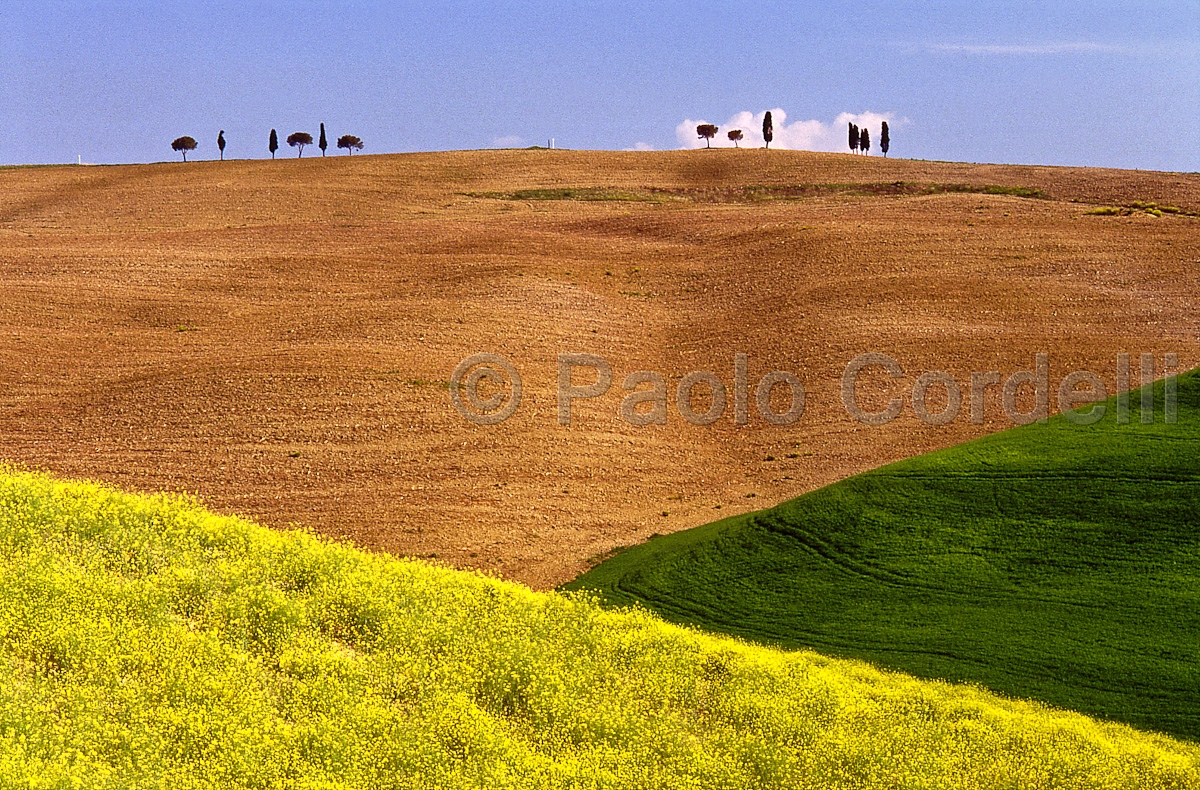 Hills, Tuscany, Italy
 (cod:Tuscany 03)